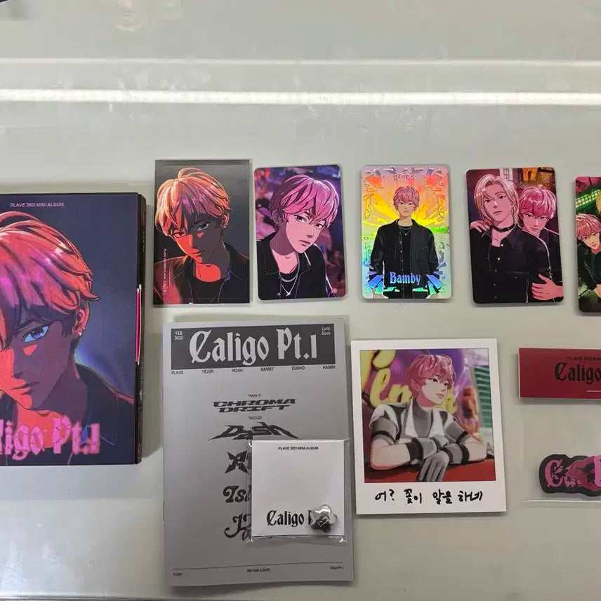 플레이브 밤비 대쉬 뱅가드 앨범