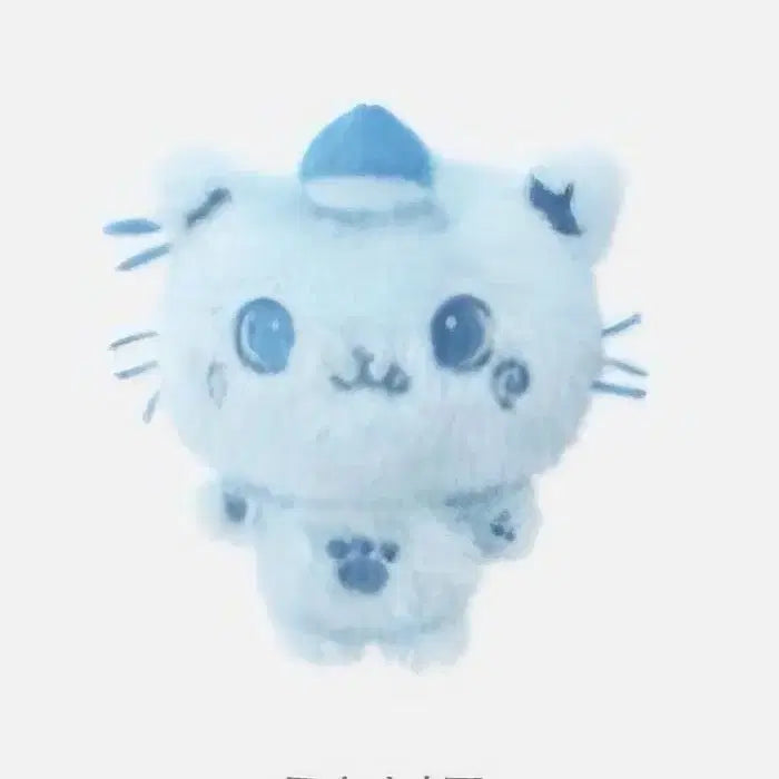 엔시티위시 팝업 컬러 위시돌 리쿠 쿠리 블루