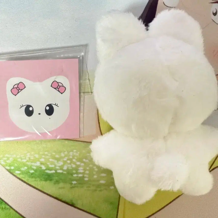 (특전포함)장원영 인형