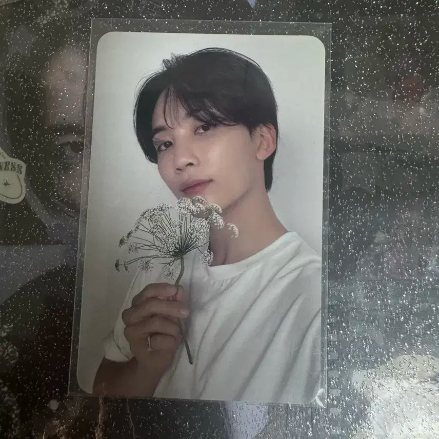 세븐틴 윤정한 캐럿반 포카