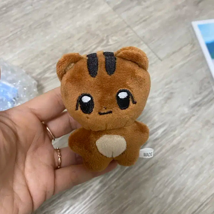 쫑람지 팔아요(탄람지)