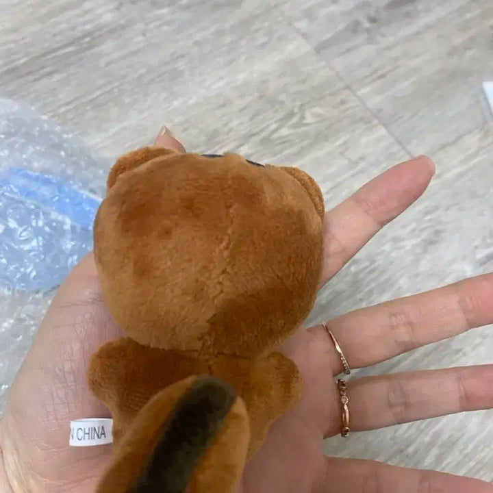 쫑람지 팔아요(탄람지)