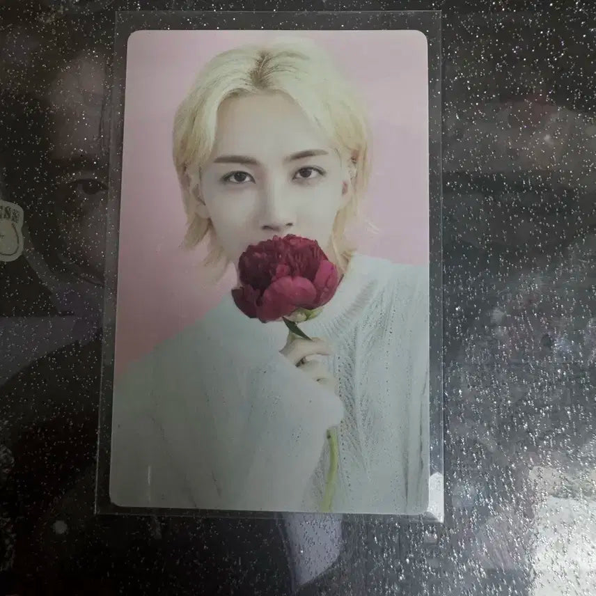 세븐틴 윤정한 카페 인 서울 트레카