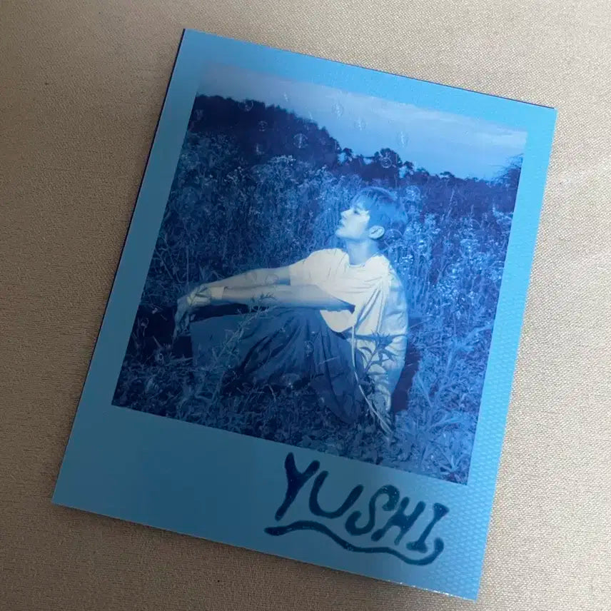 엔위시 컬러 유유시 폴라