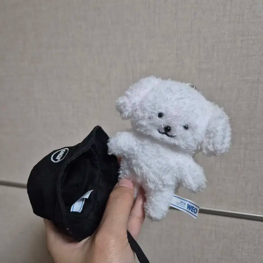 엔시티 제노 젠몽이 양도