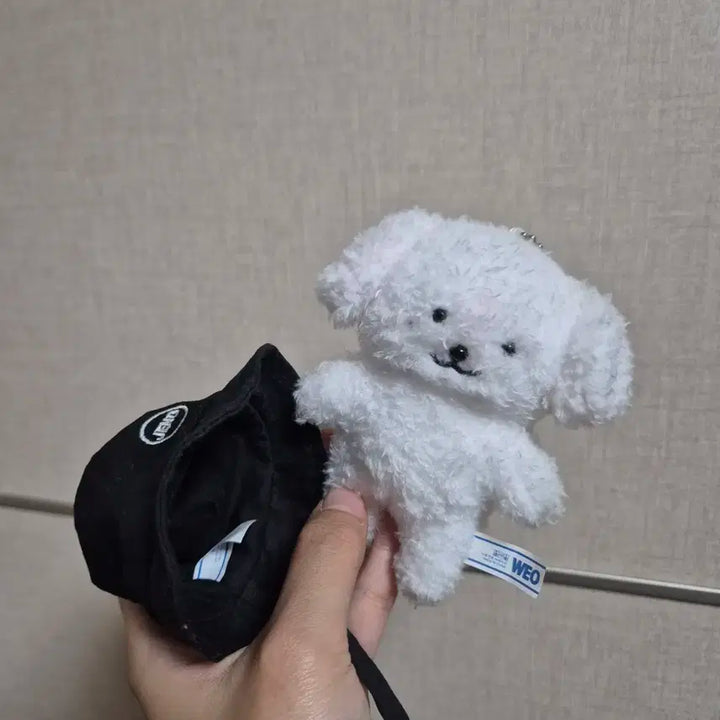 엔시티 제노 젠몽이 양도