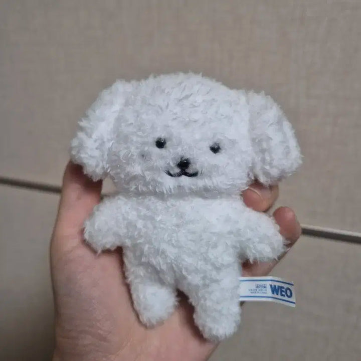 엔시티 제노 젠몽이 양도