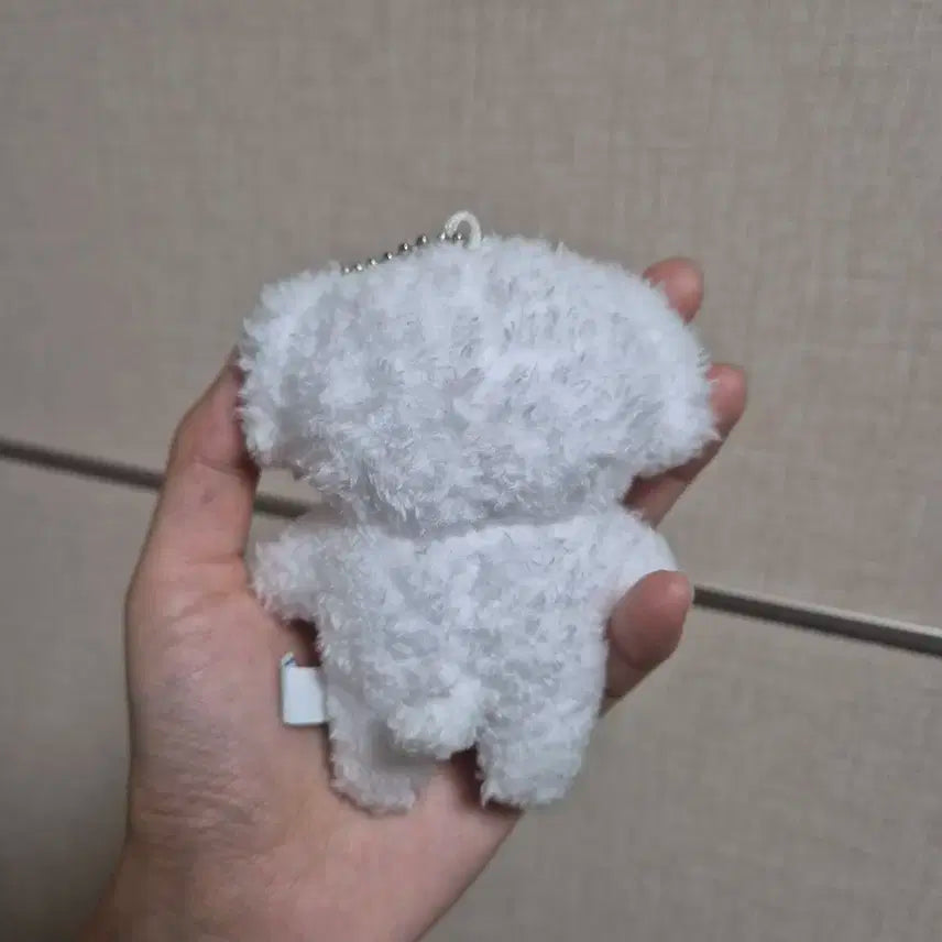 엔시티 제노 젠몽이 양도