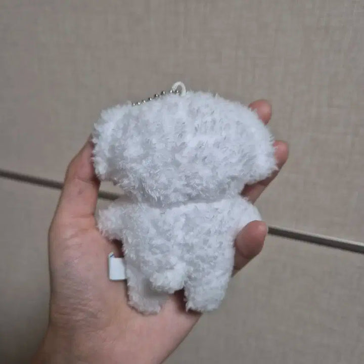 엔시티 제노 젠몽이 양도