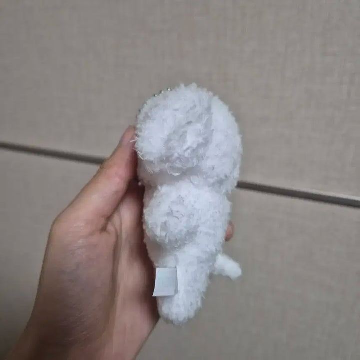 엔시티 제노 젠몽이 양도