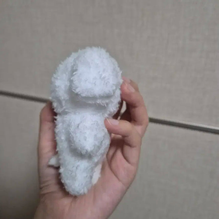 엔시티 제노 젠몽이 양도