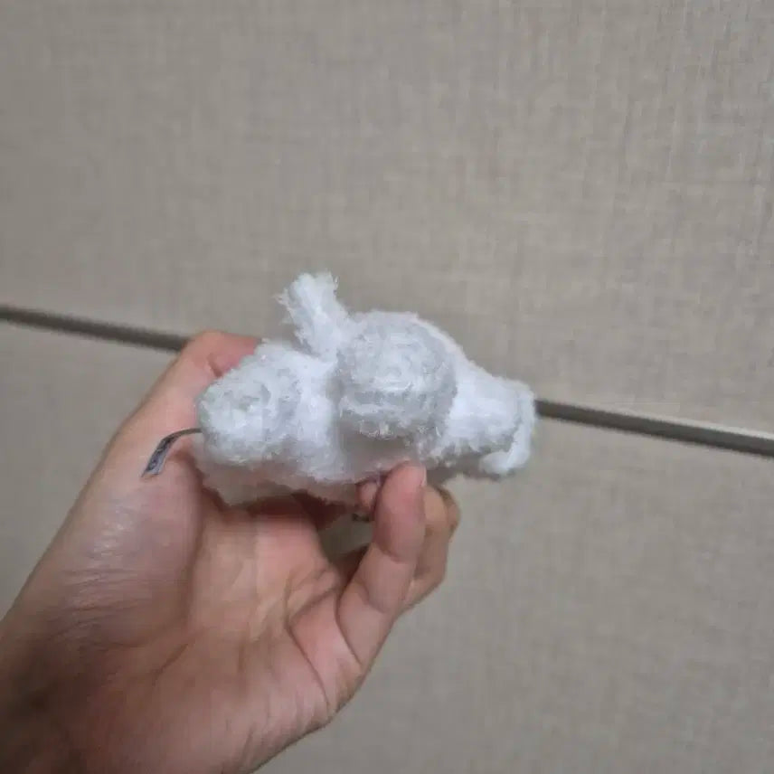 엔시티 제노 젠몽이 양도