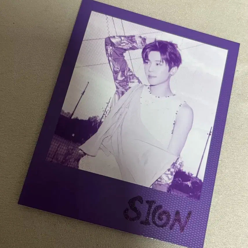 엔위시 컬러 시온 폴라