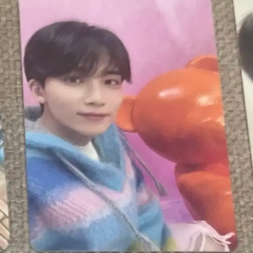 정한 드림 초회한정반c 포카 양도