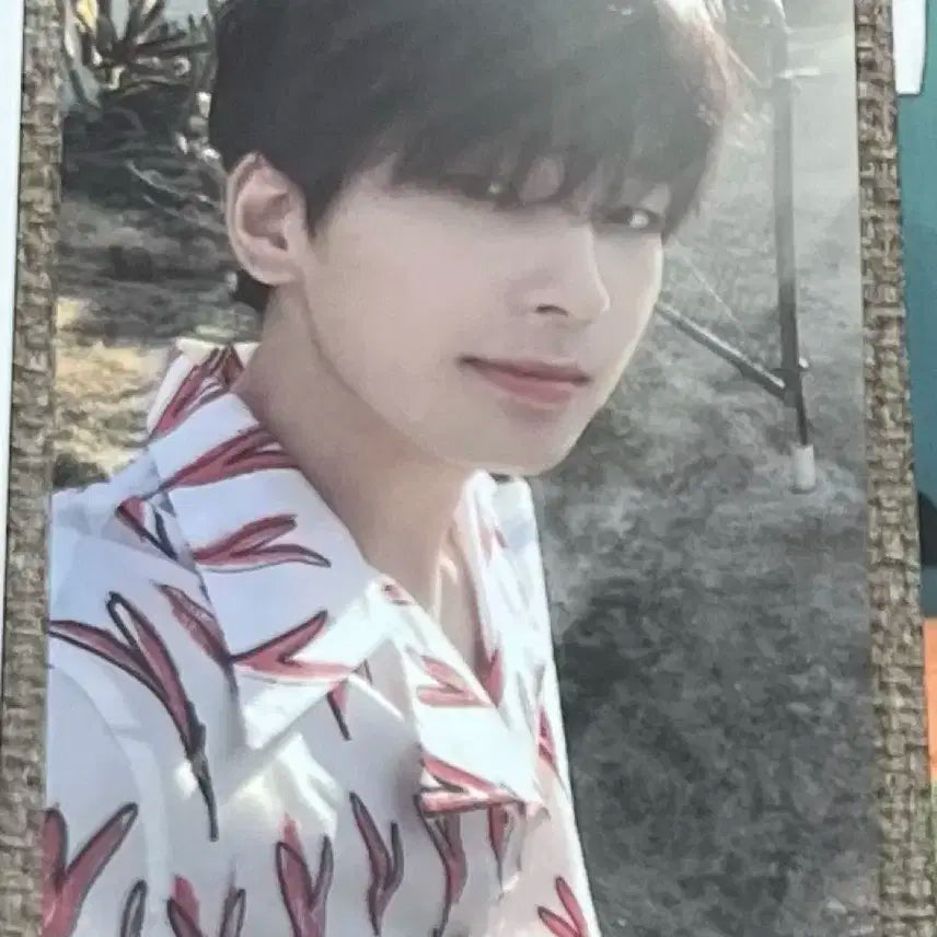 원우 헹가레 셋 포카 양도