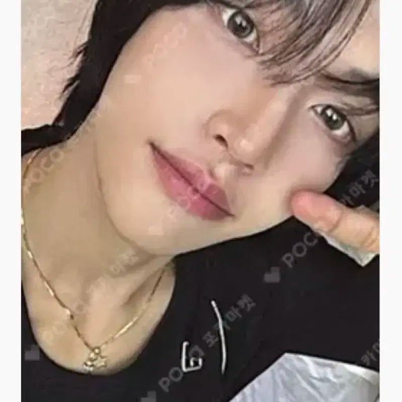 라이즈 디아이콘 원빈 포카 양도