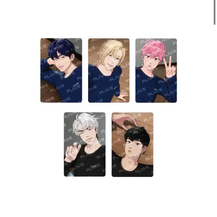 플레이브 포카팩 일괄