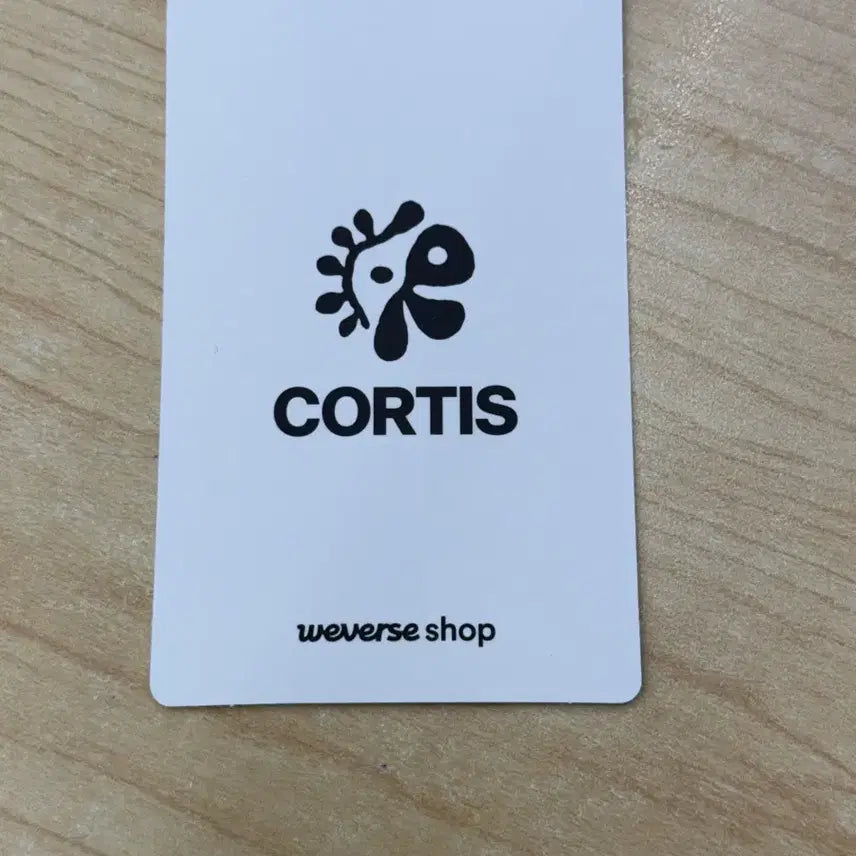 코르티스 건호 color the lines 위버스 포카