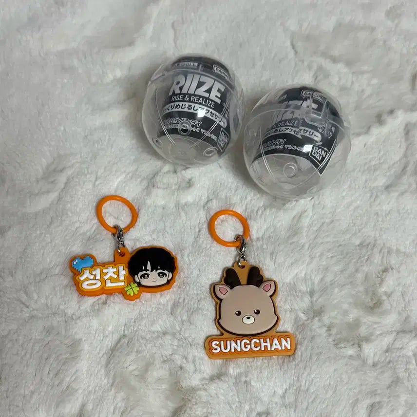 라이즈 성찬 가챠 일괄 양도 쇼타로 은석 원빈 소희 앤톤 우락밤