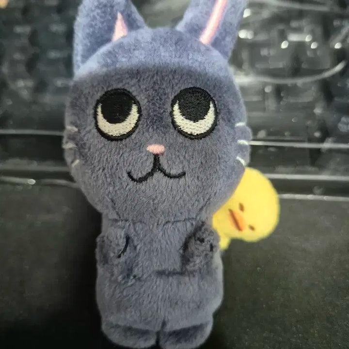 1기 토냥덕 라이즈 원빈 인형 1기토냥덕 8cm