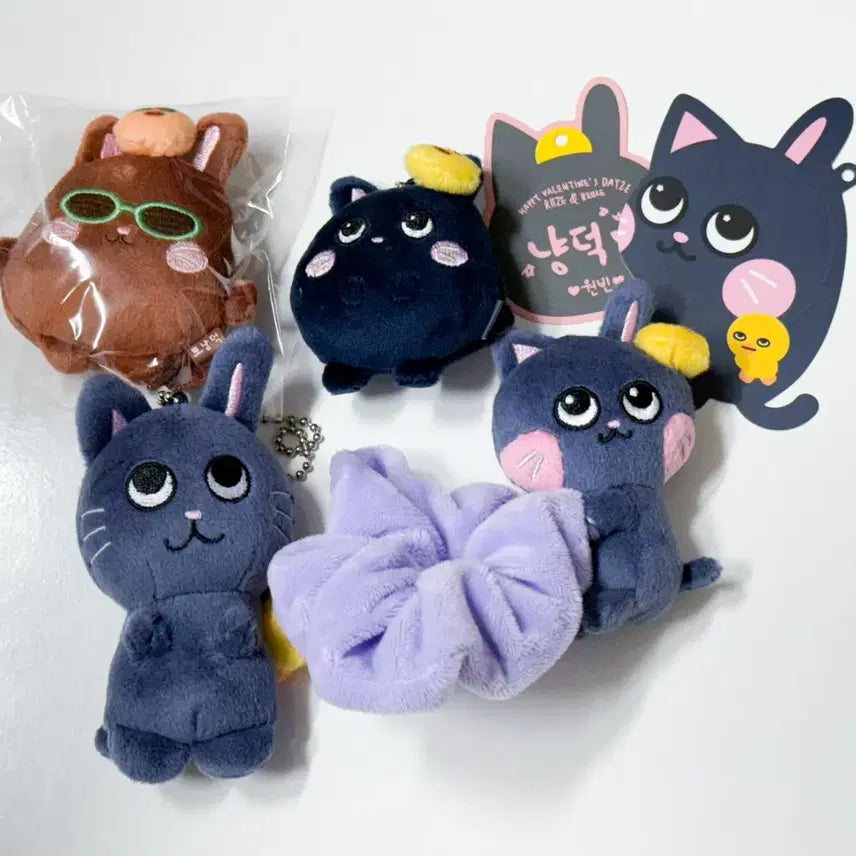 라이즈 원빈 토냥덕 일괄 양도