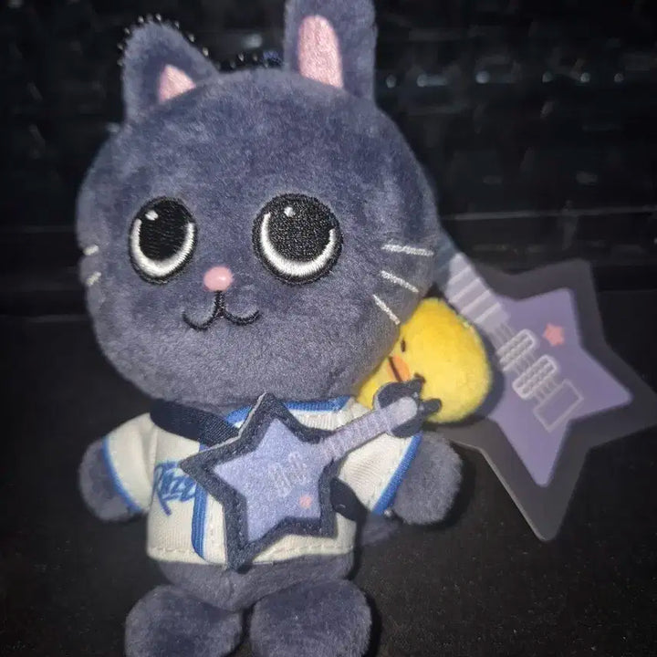 라이즈 원빈 토냥덕 10cm 개봉 양도