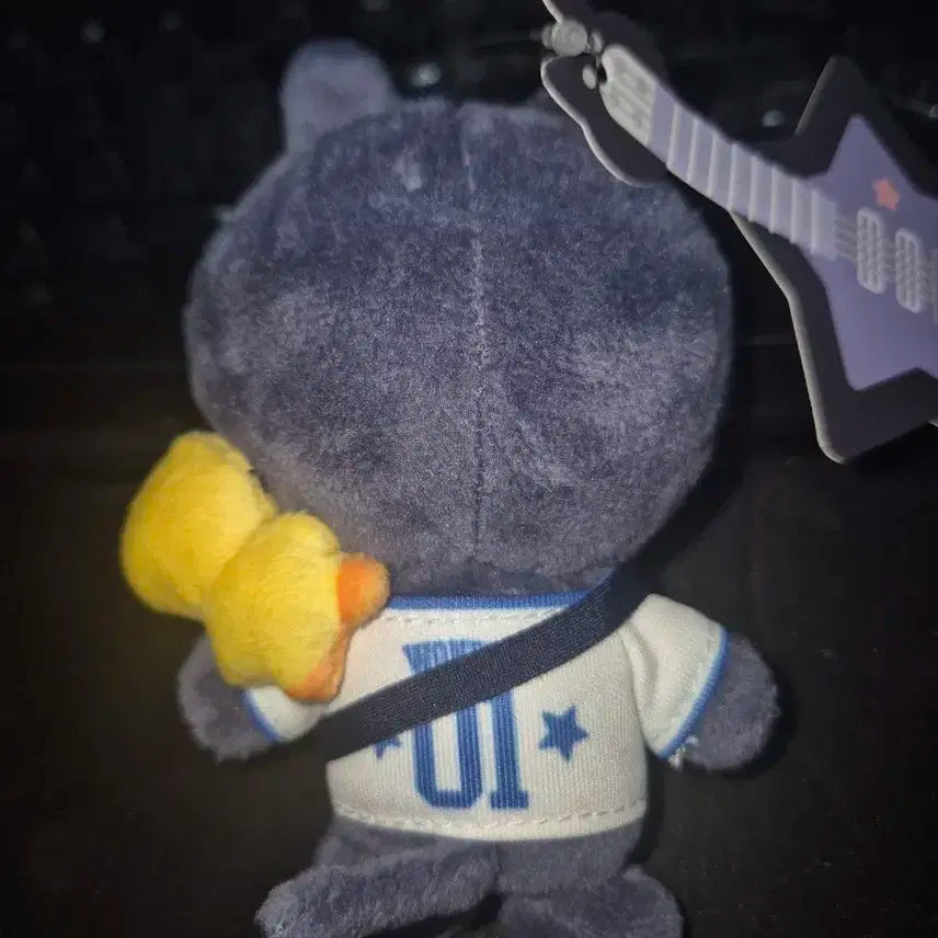 라이즈 원빈 토냥덕 10cm 개봉 양도