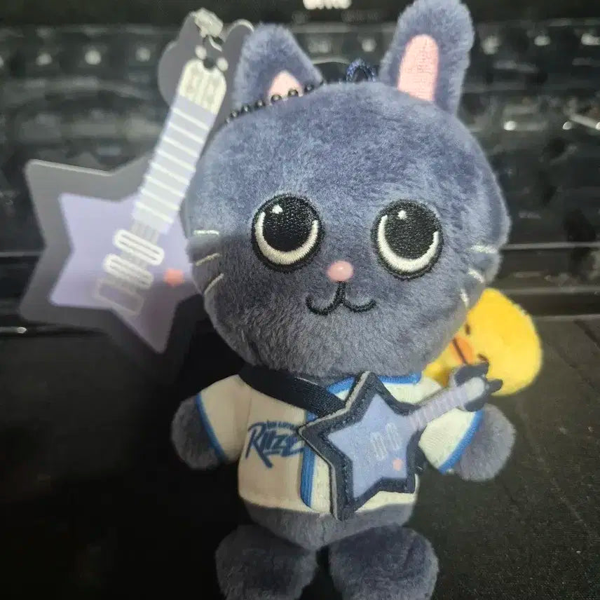 라이즈 원빈 토냥덕 10cm 개봉 양도