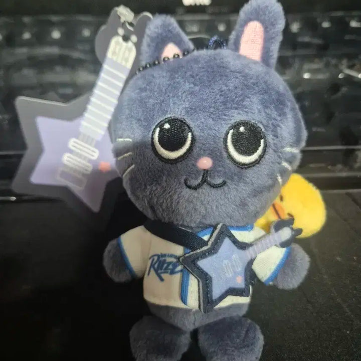 라이즈 원빈 토냥덕 10cm 개봉 양도