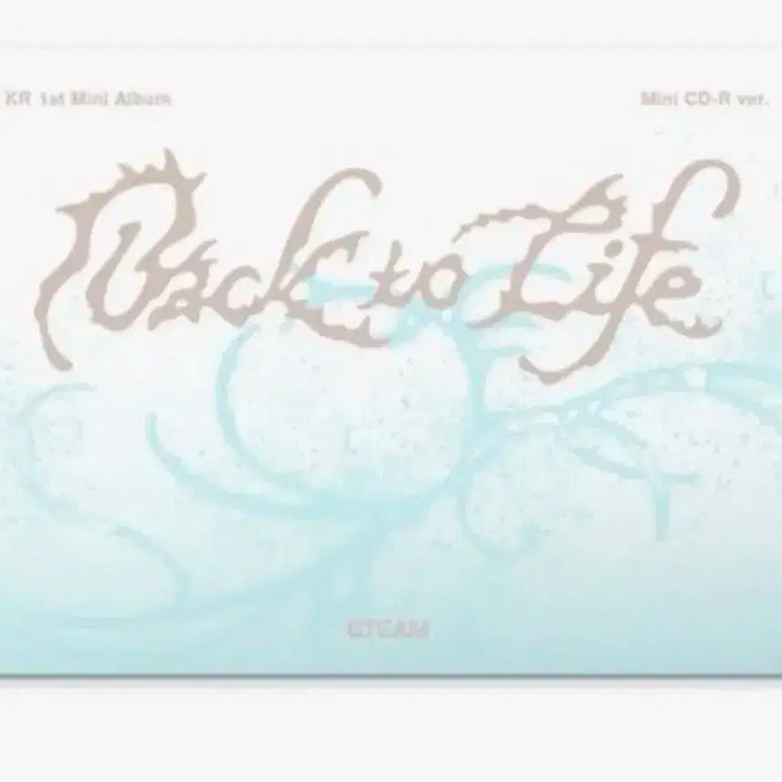 앤팀 백투라이프 미니씨디 버전 미개봉