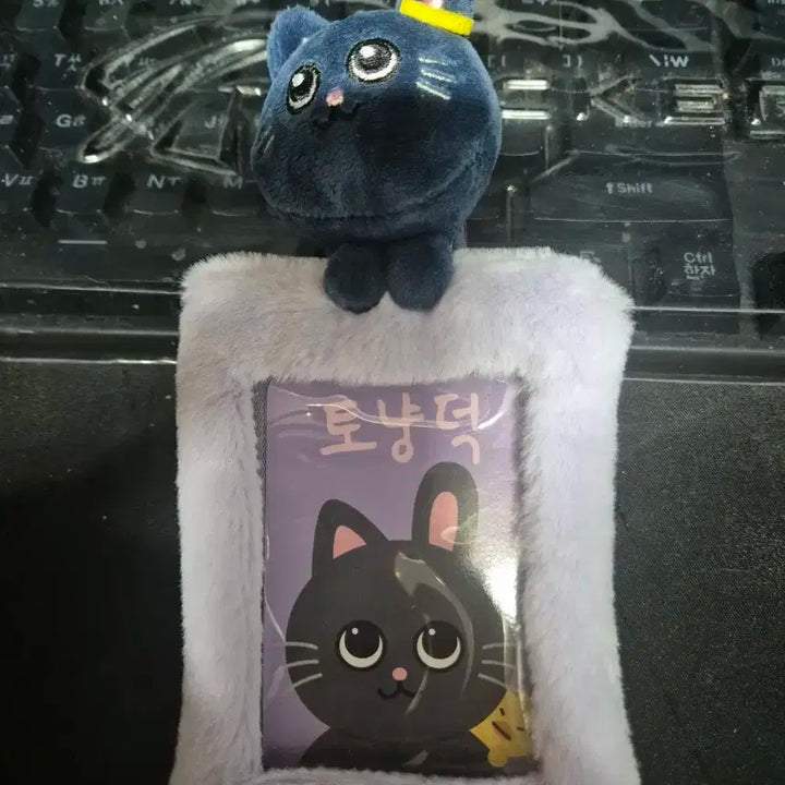 라이즈 원빈 토냥덕 포카홀더