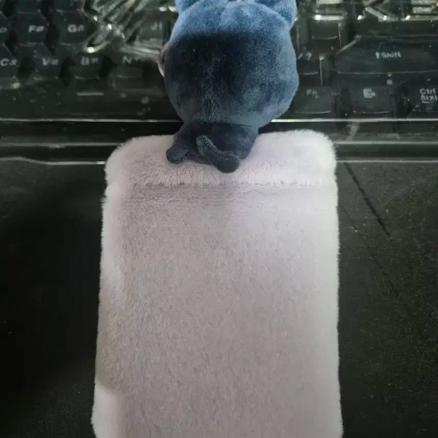 라이즈 원빈 토냥덕 포카홀더