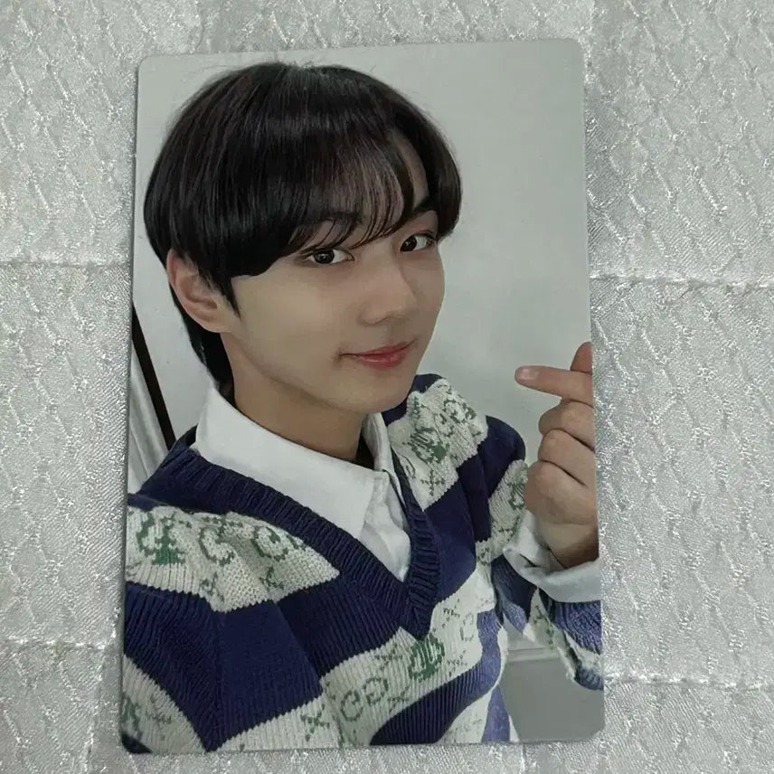 엔하이픈 엔커넥트 정원 디비디 포카