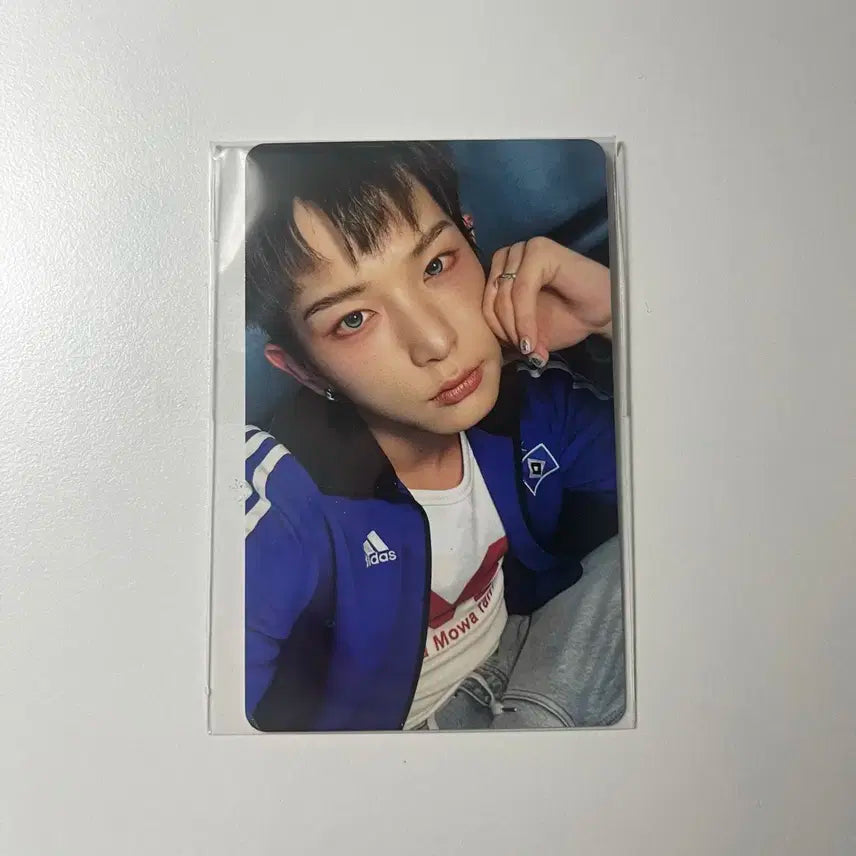 앤팀 하루아 팝업 앨범 픽업 포토카드