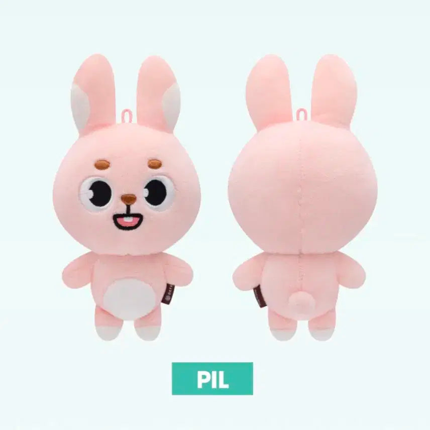 데이식스 24버전 필끼 원가 이하판매