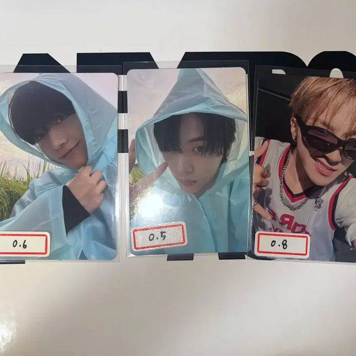 보넥도 포카 양도