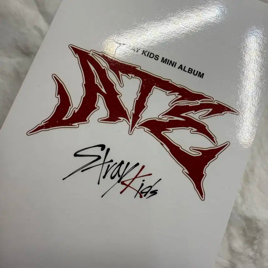 폭덤!!!) 에이트 화이트 네모버전 현진포카 양도