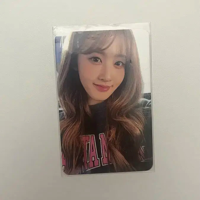 스테이씨 시은 포카 테디베어