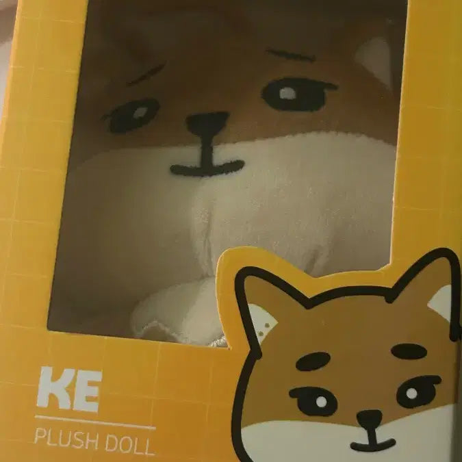 데이식스 데니멀즈 24케 케둥이