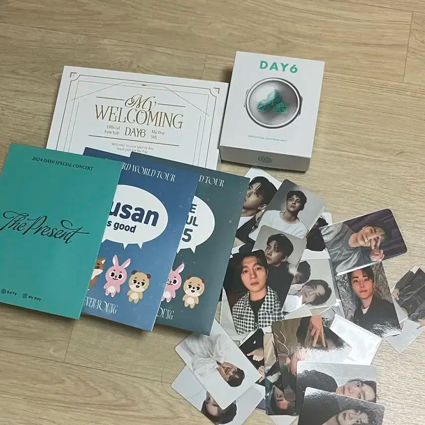 데이식스탈덕처분