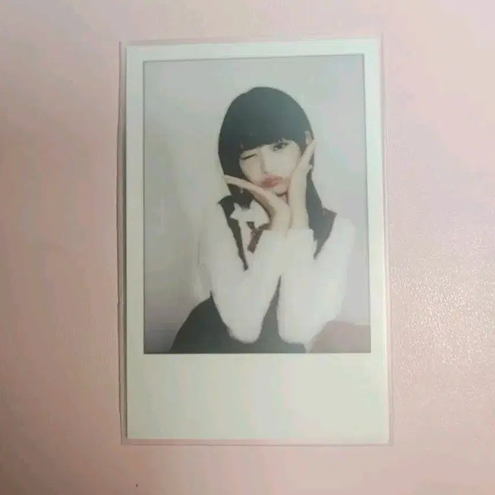 레이 럭드 폴라