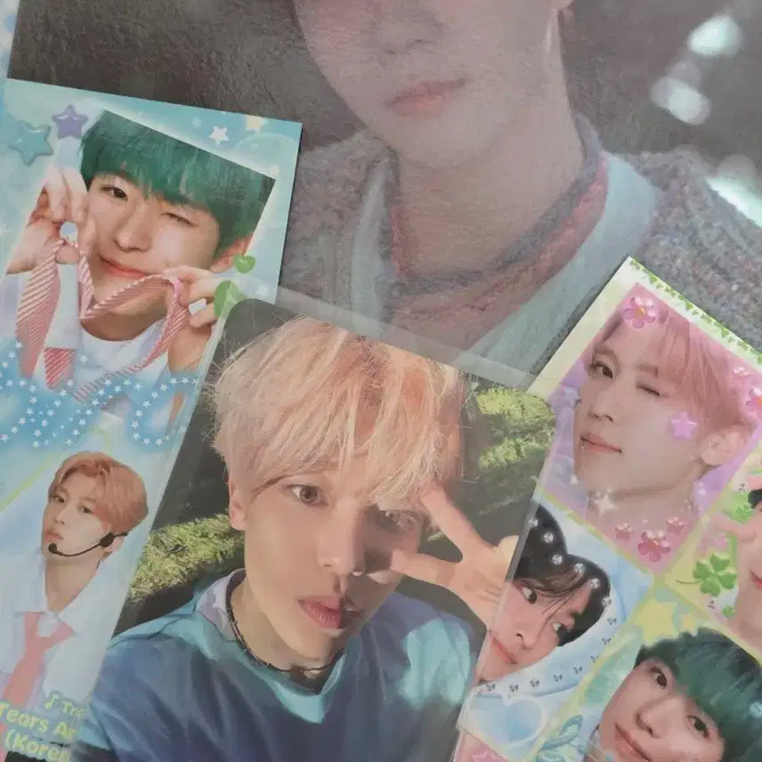 song bird 시온 포카양도합니다(앨범포함)