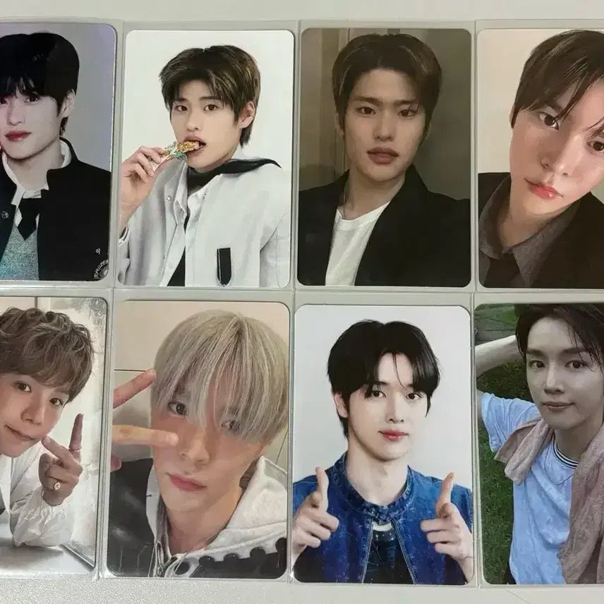 라이즈 포카 일괄 판매 합니다 소희 쇼타로 성찬 은석