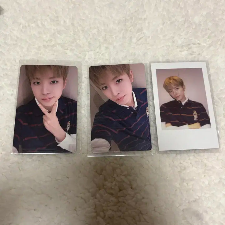 엔시티 위시 유우시 포카 kms 광저우 미공포