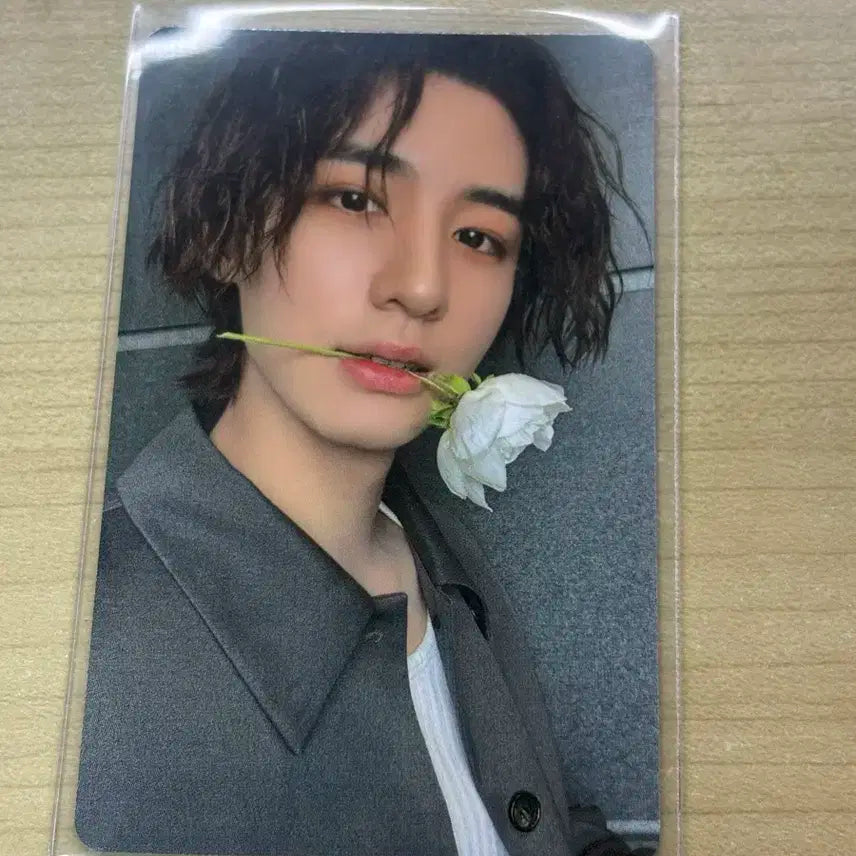 보넥도 이한 디액션 일반반 위버스 특전