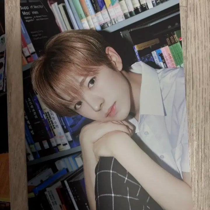 스쿨오브위시 스오위 유우시 엽서 세트