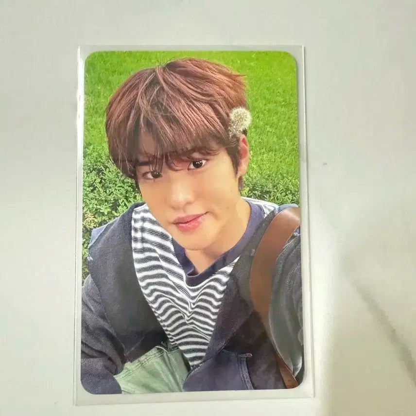 라이즈 소희 포토카드 에필로그