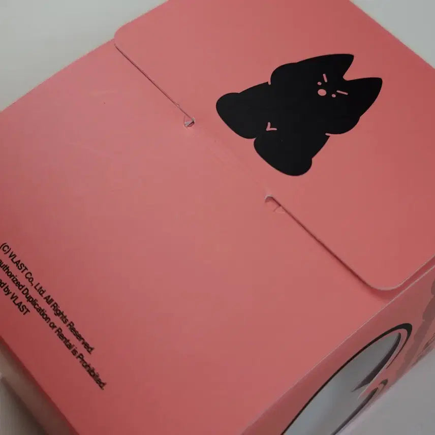 플레이브 은호 생일 케이크 상자