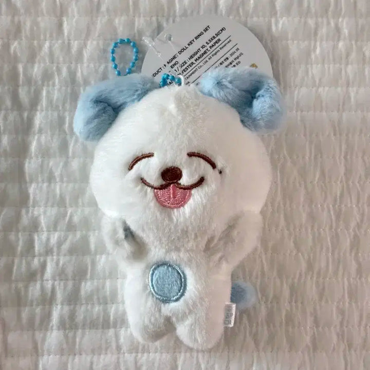 엔시티드림 제노 10cm 인형 므엉이,포카 양도!