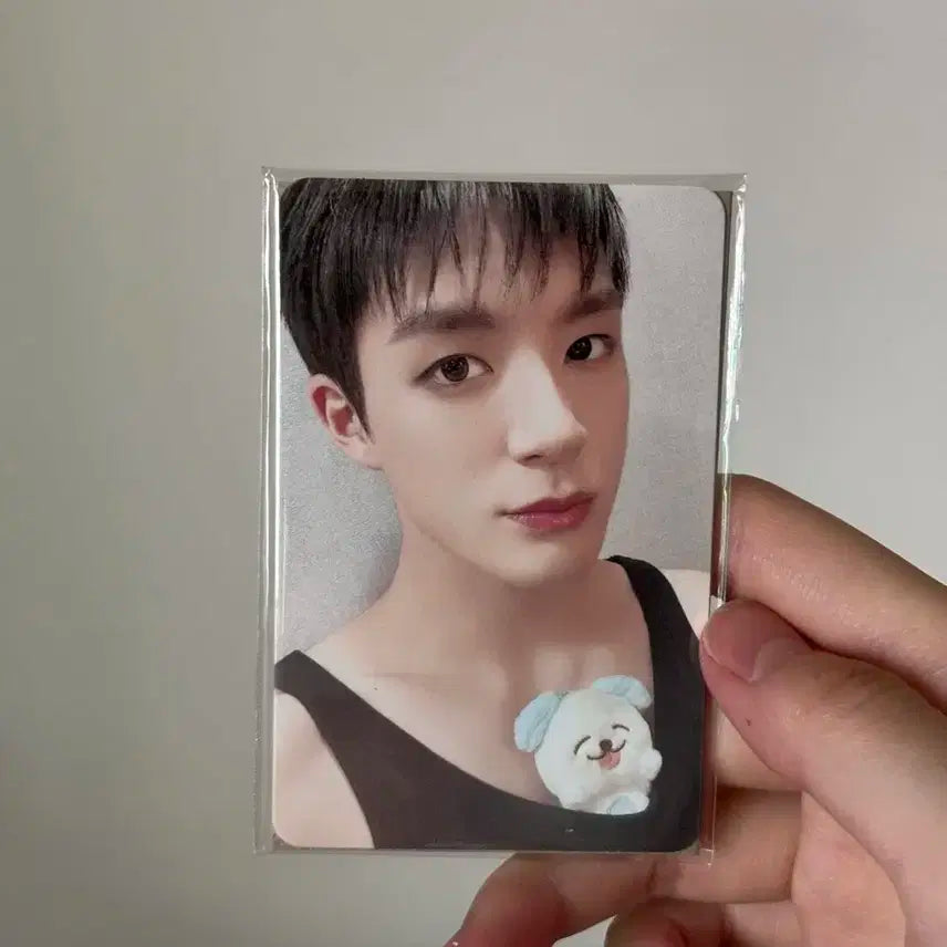 엔시티드림 제노 10cm 인형 므엉이,포카 양도!